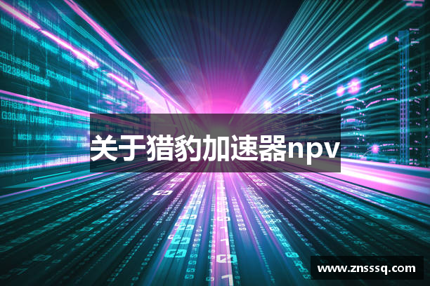 关于猎豹加速器npv